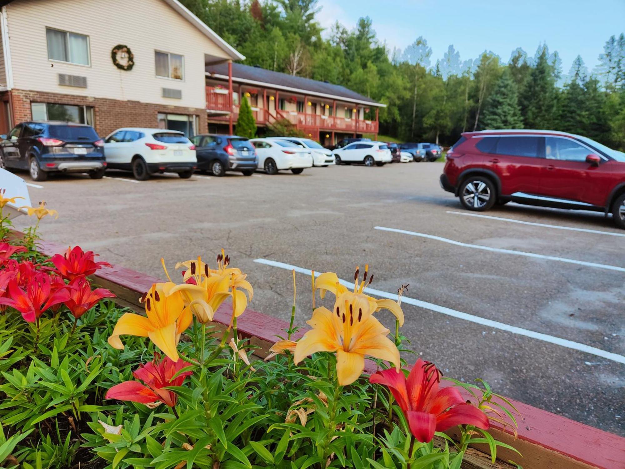 Motel Le Radisson De Val-David Exterior photo